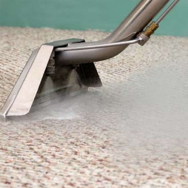 steam cleaning a shaggy rug