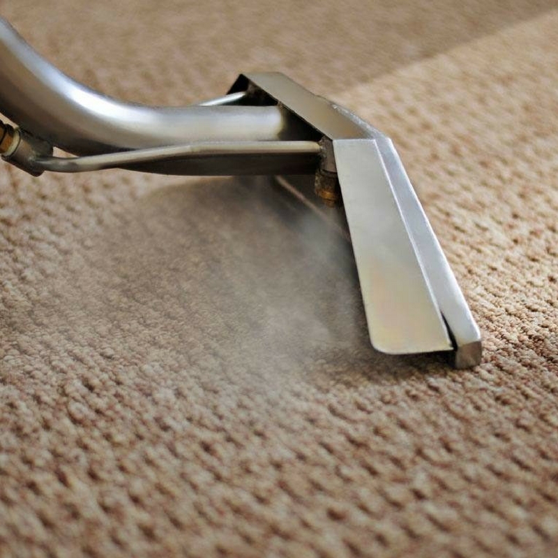 steam cleaning a shaggy rug