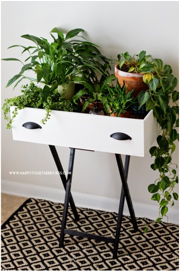 black and white upcycled dresser drawer holding potted indoor plants on a black and white patterned floor