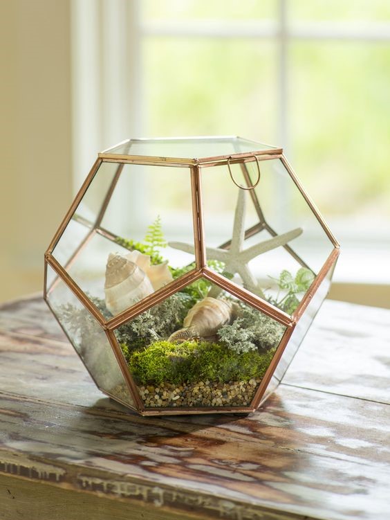 A bronze indoor plants terrarium placed on a wooden table with golden clubmoss and succulents inside