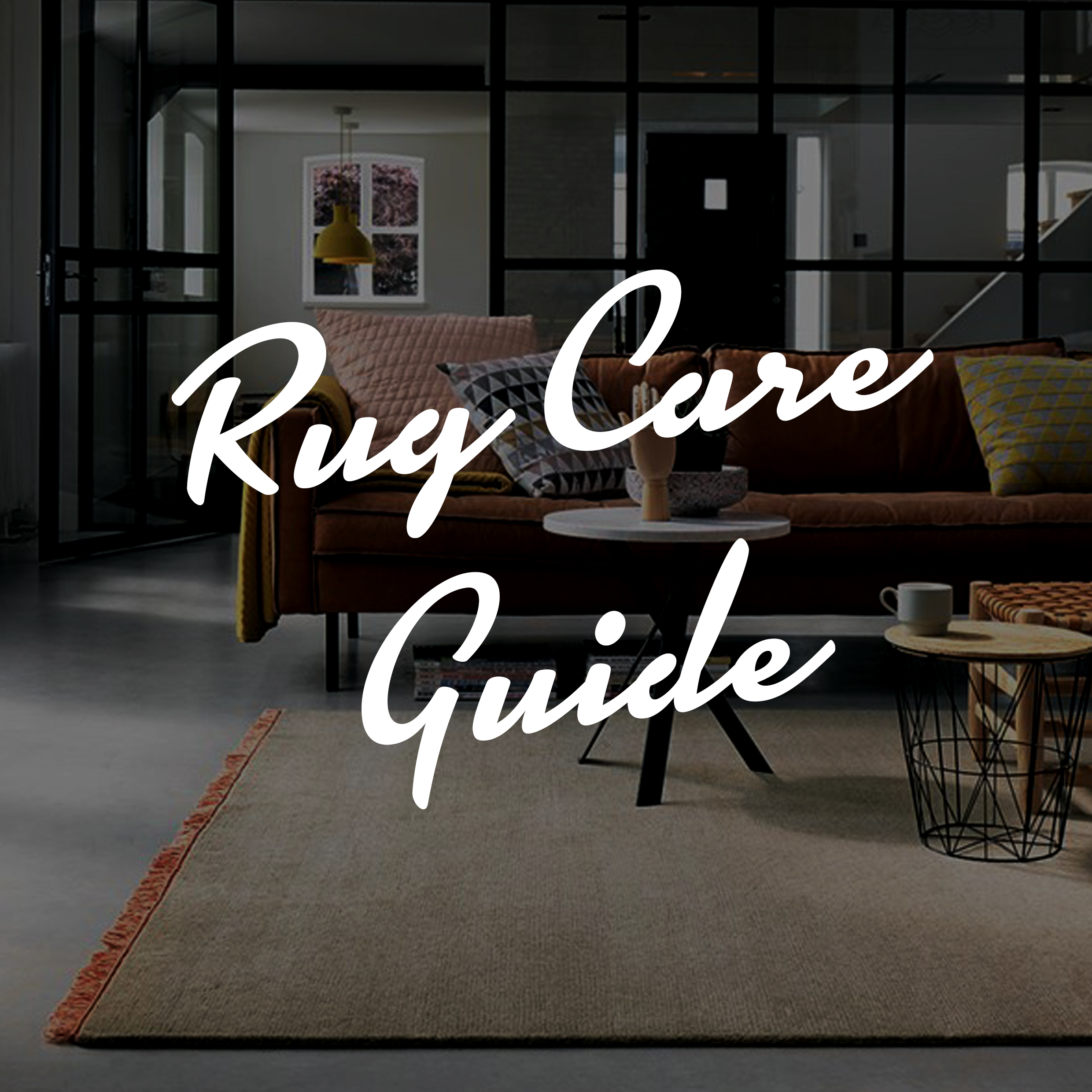 rug care guide featured image