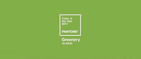 Green colour trend banner for pantone colour