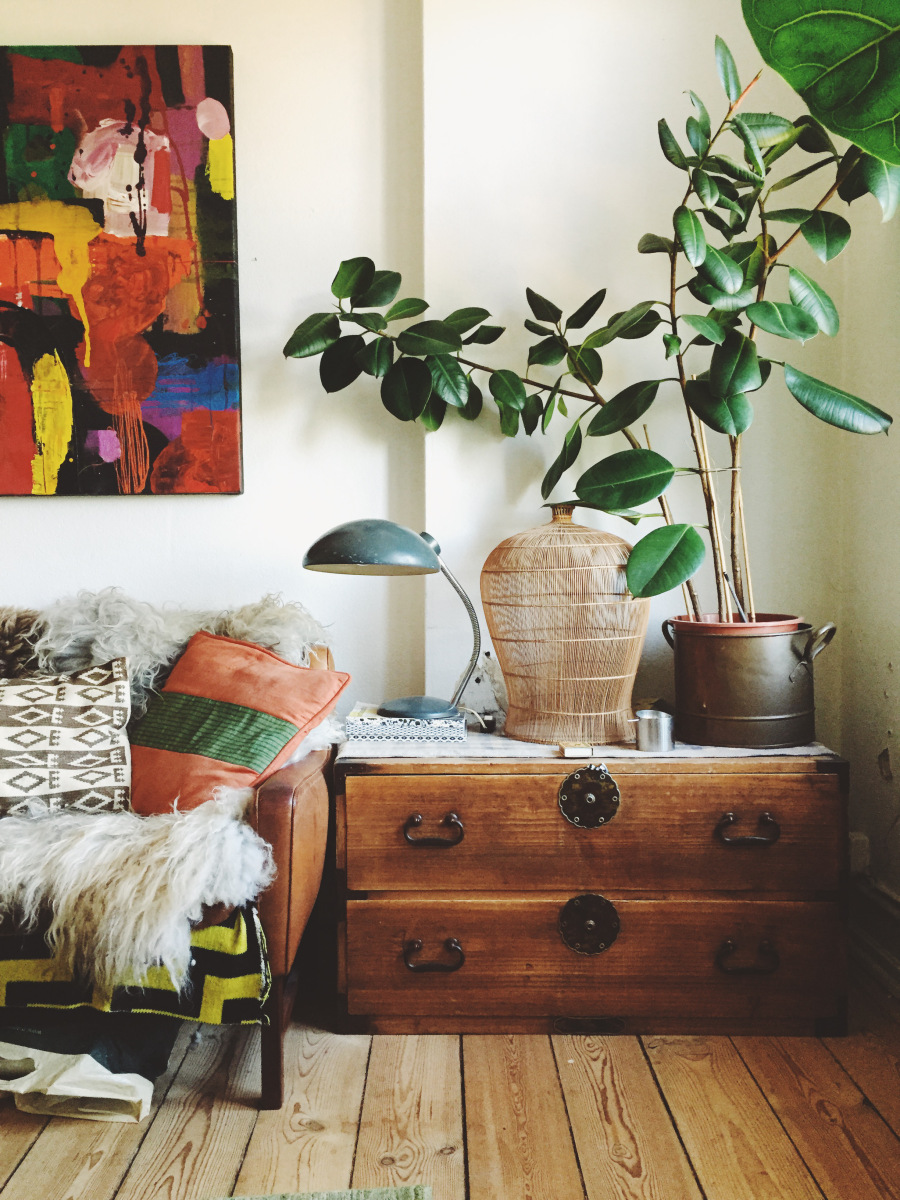 bohemian living room with a large plant and bohemian furniture accents
