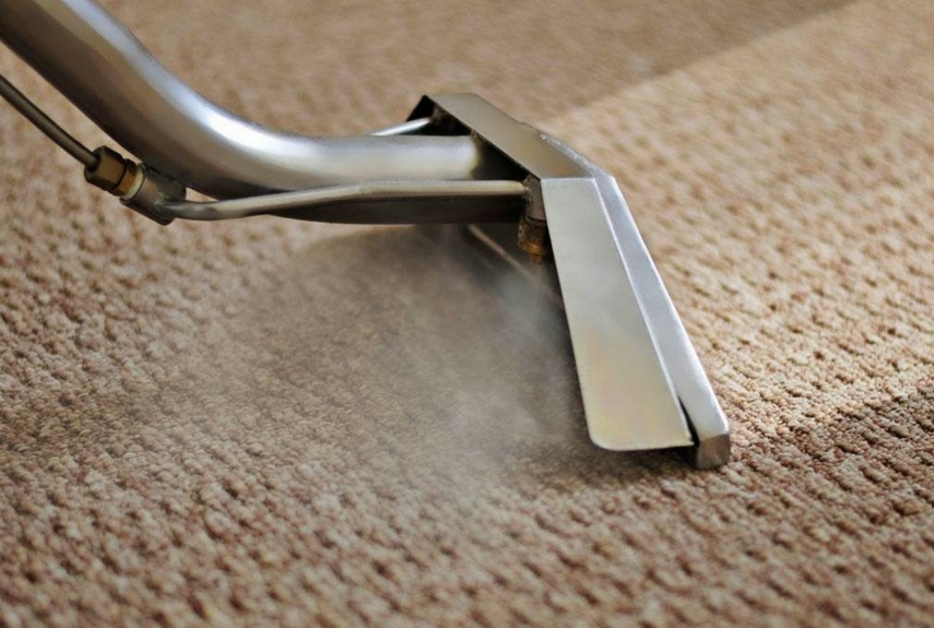 natural fibre rugs steaming care