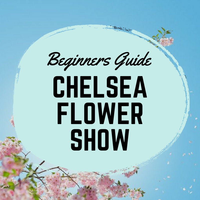 Chelsea flower show beginners guide featured image