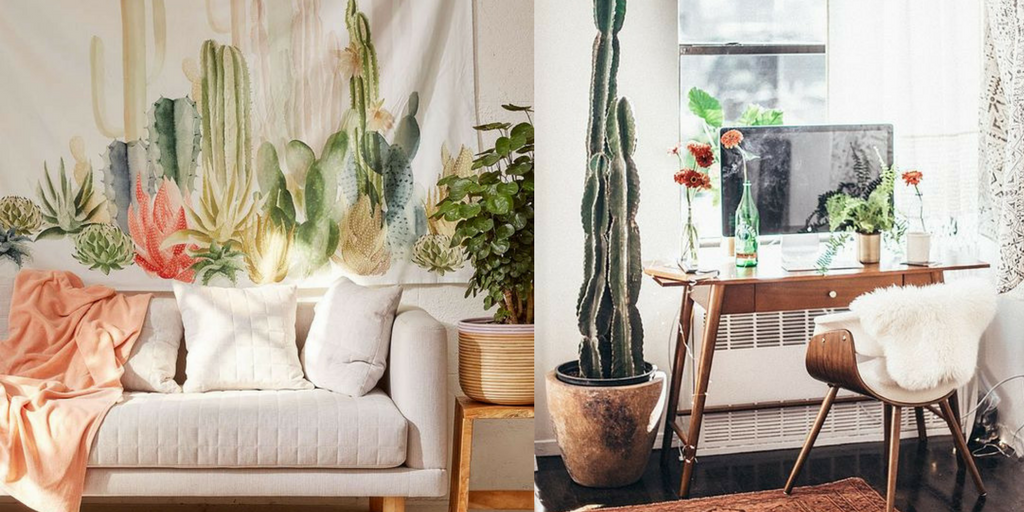 summer hottest interior trends cactus trends