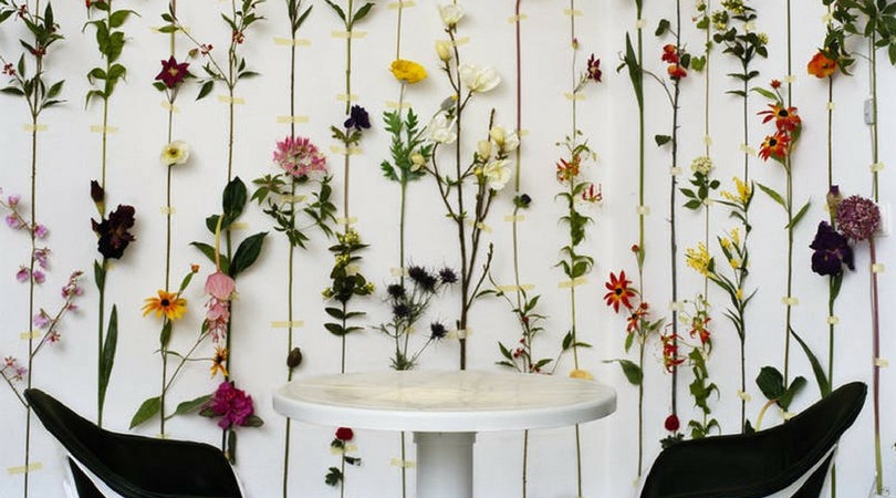 flower chains hanging on white wall