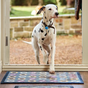 pet-friendly patterned rugs for pets