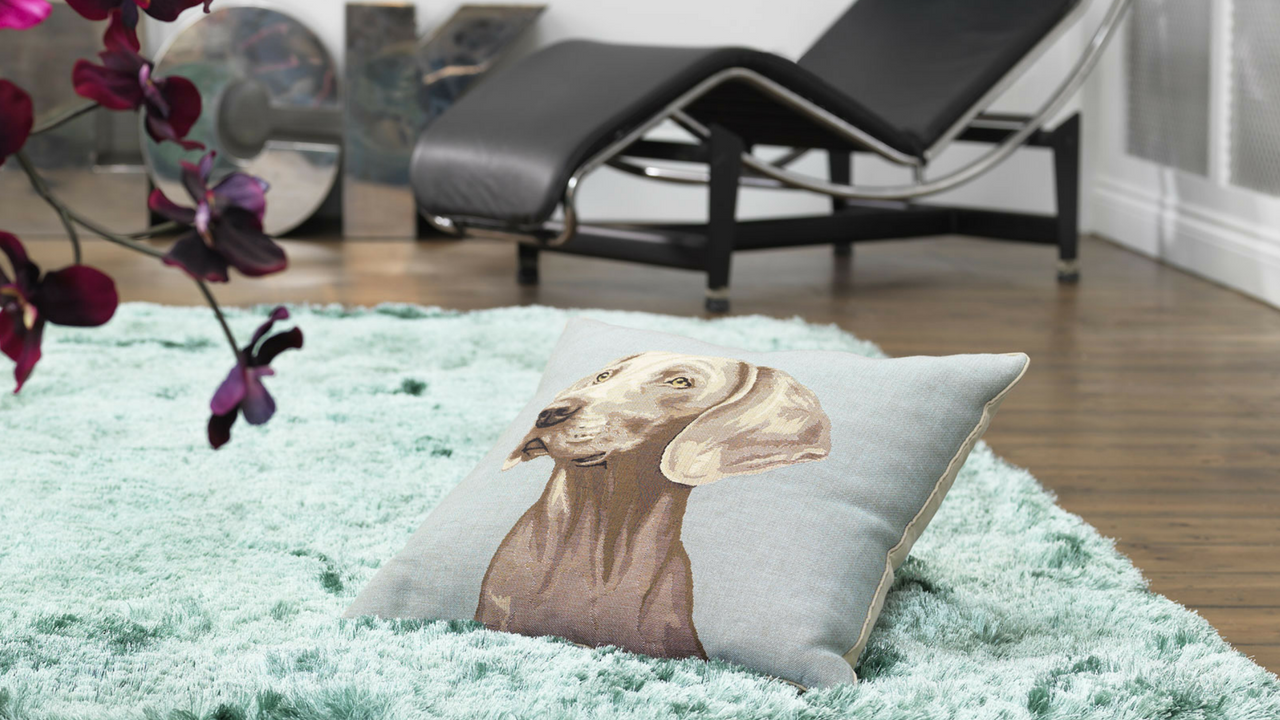 comfort blue shaggy rug with a dog pillow on top