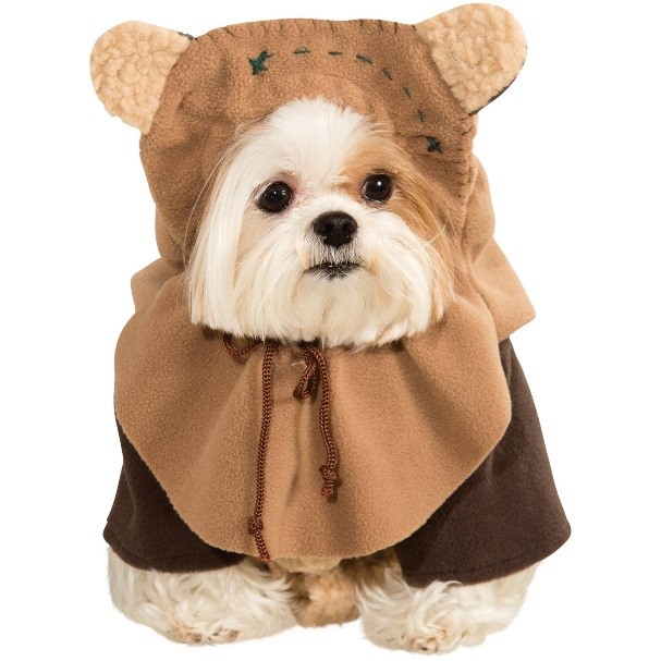 Star Wars May the 4th be with you cute dog in an ewok outfit