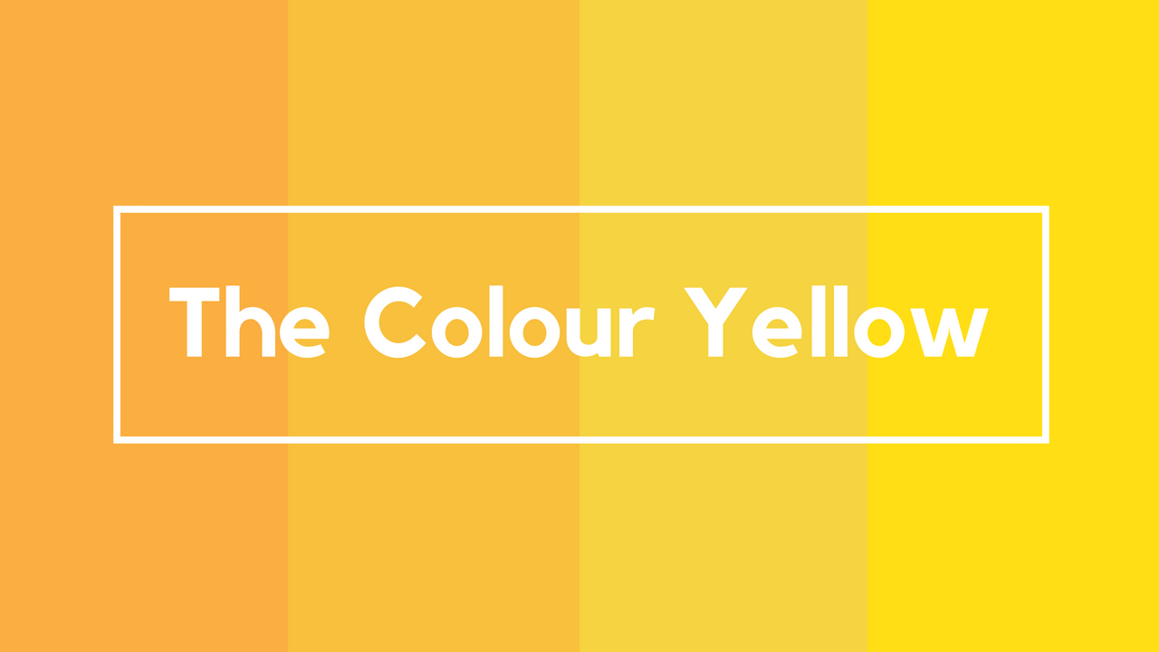 Various shades of yellow in an image