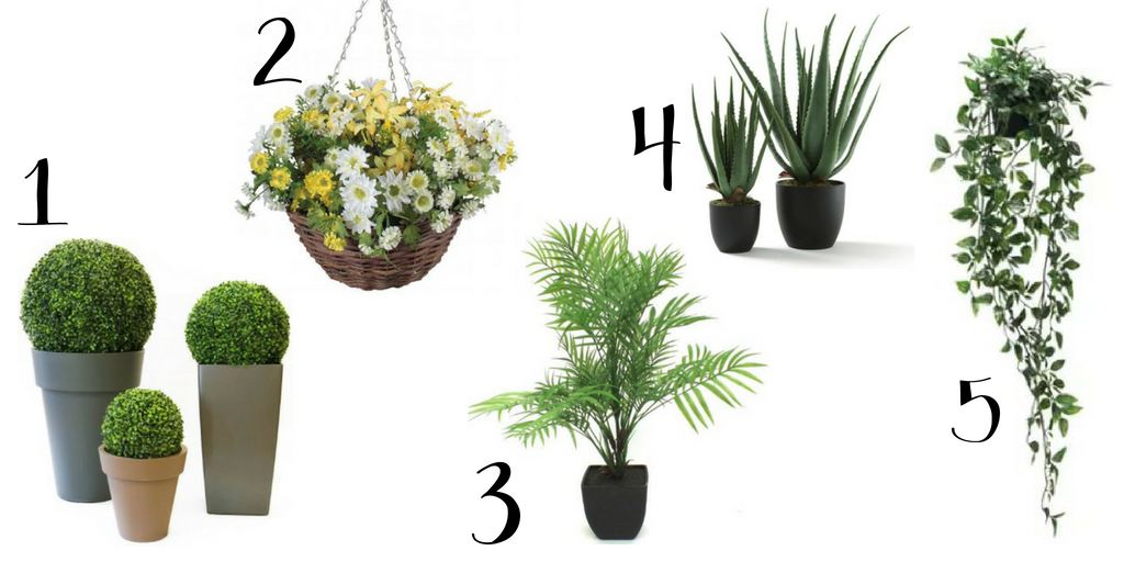 Outdoor Space Greenery Life Plants 