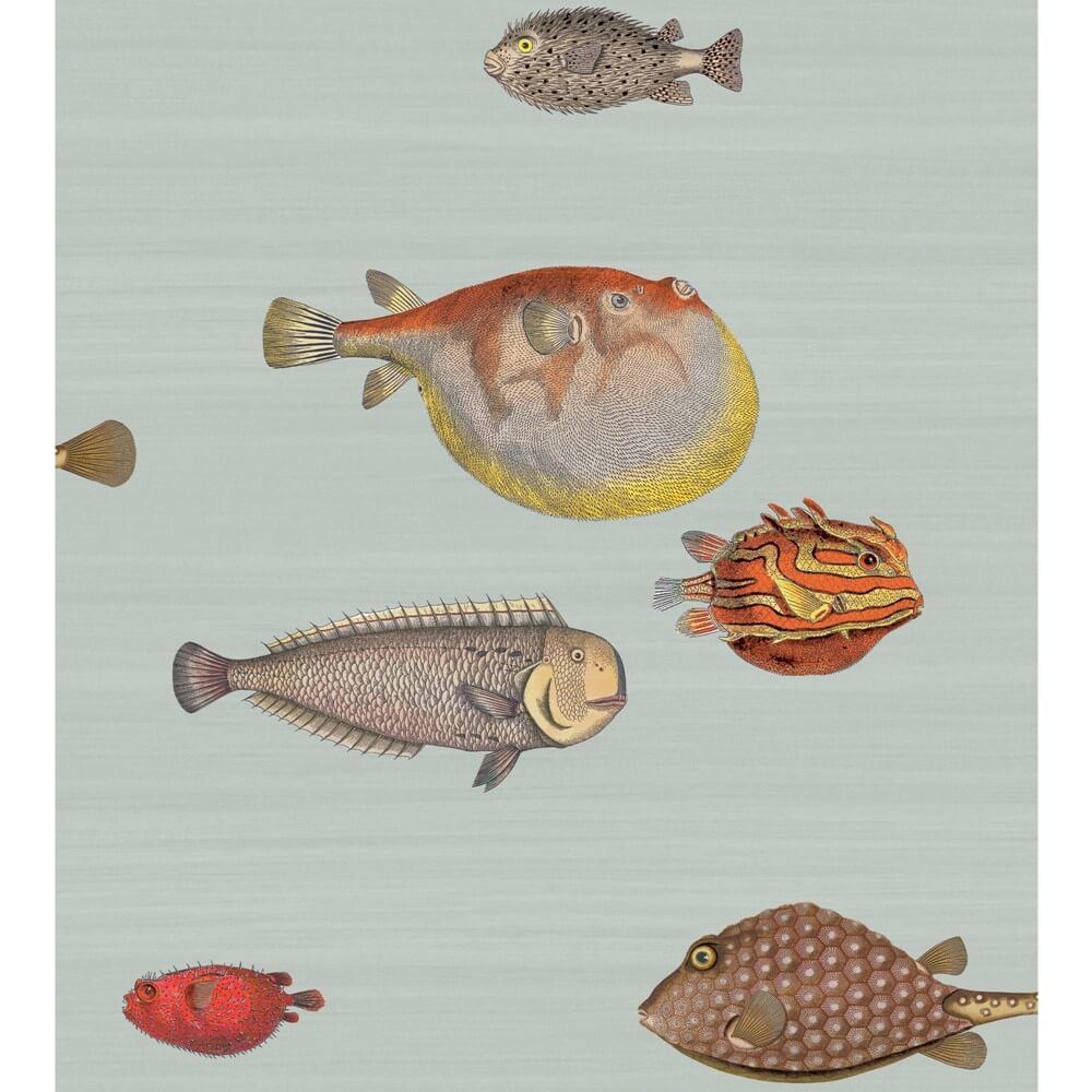 A close up image of wallpaper with lifelike drawings of fish