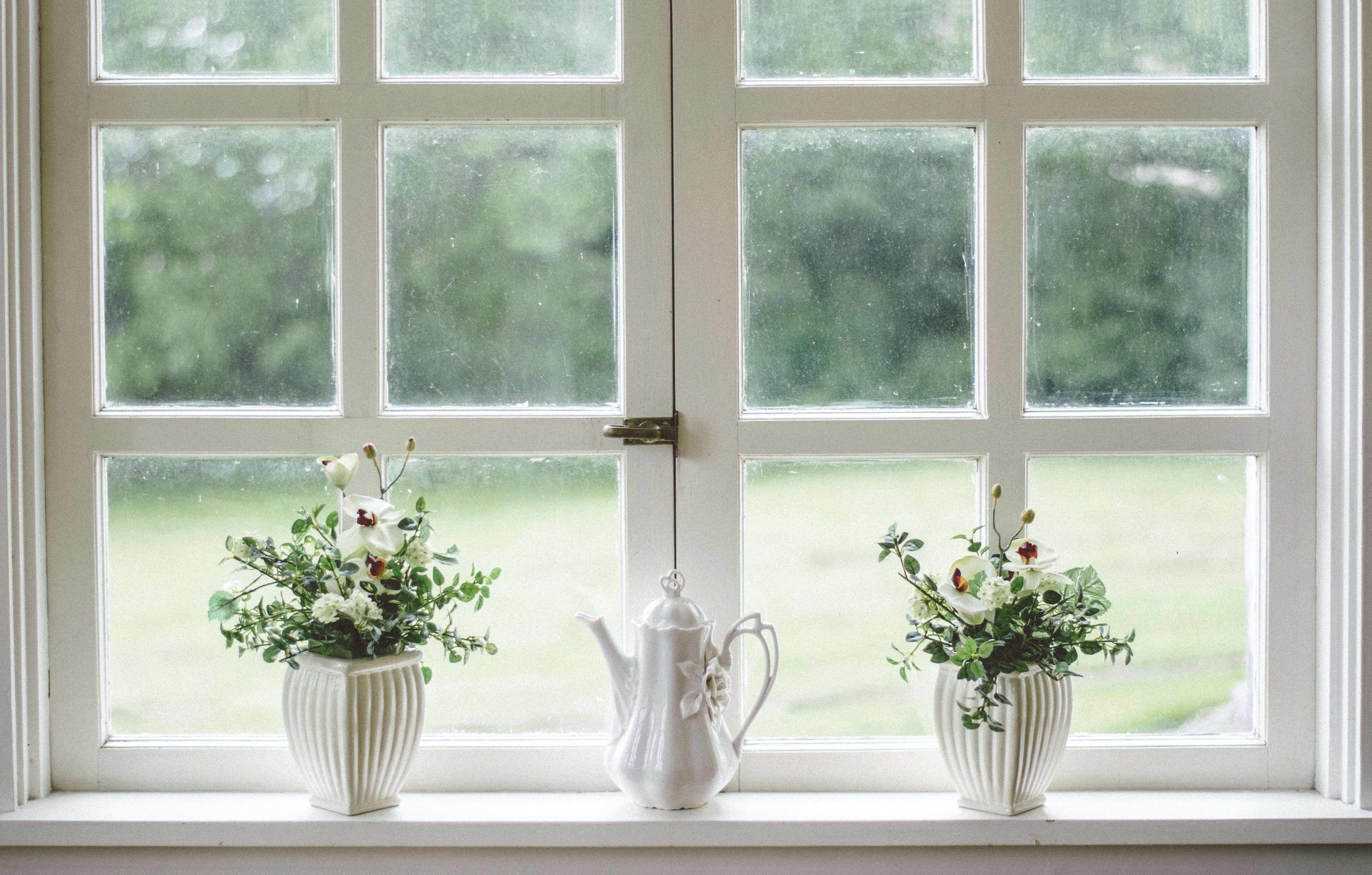 a picture of a window pane in a house looking out into the garden