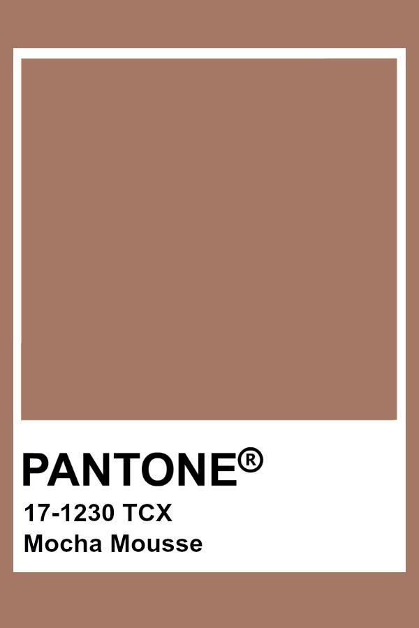 The Pantone Colour of the Year 2025 has arrived: Mocha Mousse